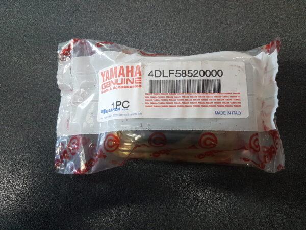 COPERCHIO VASCHETTA LIQUIDO FRENI YAMAHA PER TZR - SZR - 4DLF58520000